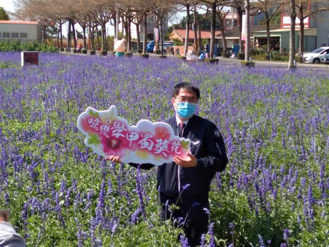 台南学甲区蜀葵花文化节3月19日在光华里蜀葵专区办理开幕式。（台南市学甲区公所提供／刘秀芬台南传真）