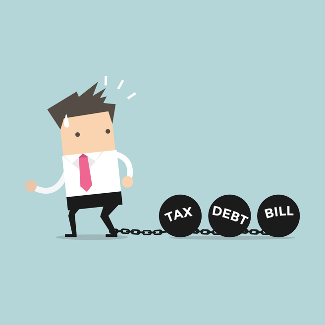 （图／小花平台）