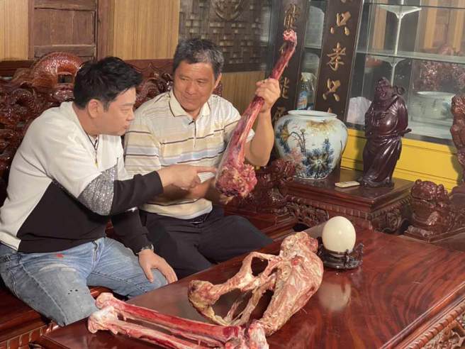 鸵鸟骨真的很大枝，坚硬。/图片来源：语缇国际