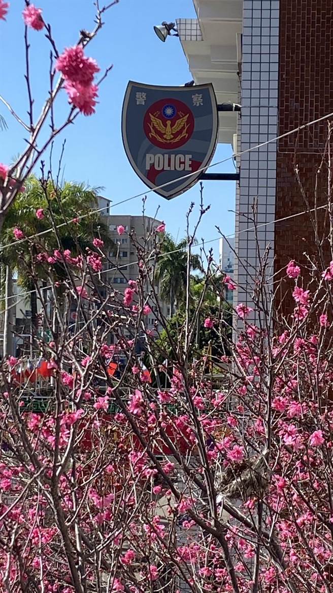 豐原警分局大門內近期也默默綻放整排櫻花，相當美麗。（警方提供／陳淑娥台中傳真）