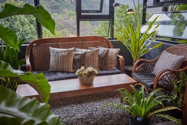 被觀葉植物包圍的沙發區是網美最愛取景的角落。(圖/行遍天下)