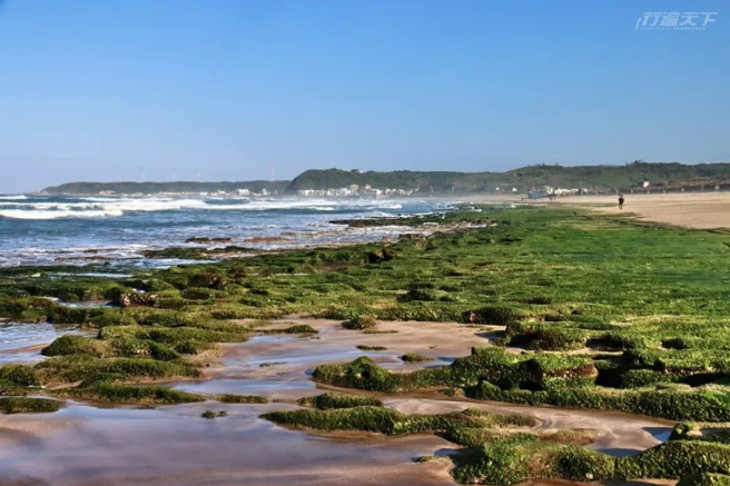 特殊的绿石槽景观，要看可得把握时间。(图/行遍天下)