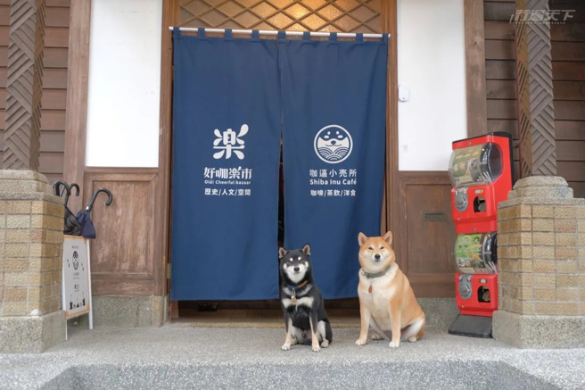斗宅与囍妹是咖逼小売所的员工，也是最人气的招财犬。(图/行遍天下)
