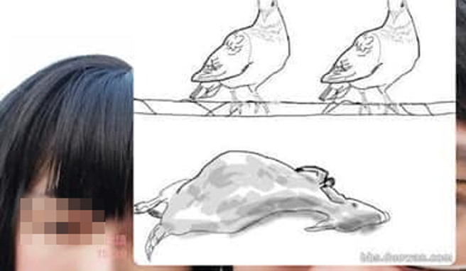 1名女網友日前傳給丈夫1張圖，圖片是有隻羊死在2隻鳥的下方，她並暗示丈夫「下面，羊死了」，沒想到丈夫完全聽不懂意思。（翻攝自臉書「爆廢公社二館」）