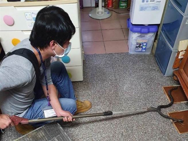 网友日光脚上3个洞的伤口，并拍下地面有1个「头部三角形」后端接着细细长长身体的「物体」，网友猛一看以为是毒蛇，近看才得知原来仅是1条「插头」。（示意图，非当事者照片）