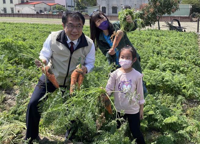 台南市长黄伟哲(左)与小朋友一起拔红萝卜。(台南市府提供／刘秀芬台南传真)
