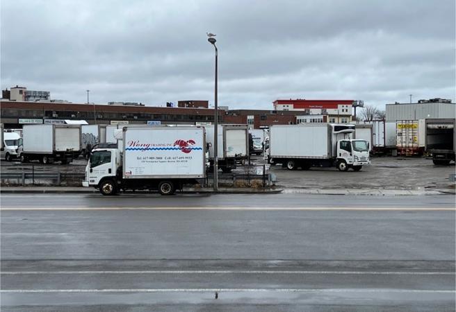 马涤凡》亲眼看见少女陷入悲惨世界。（照片为作者提供）