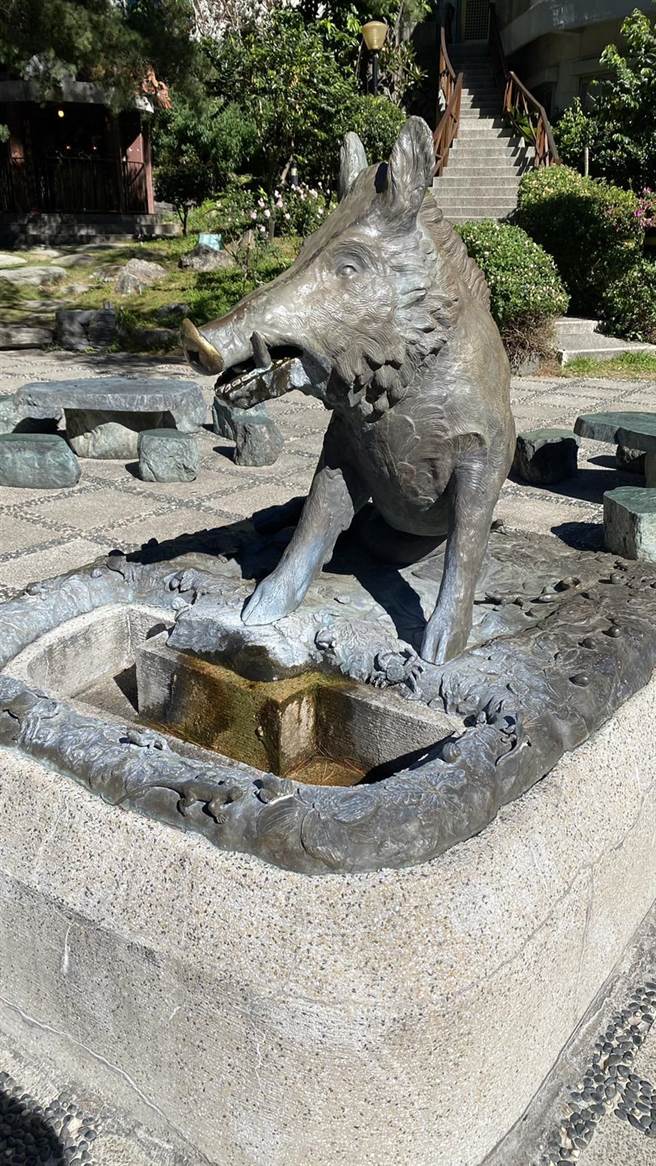 神木谷飯店「姻緣豬」的豬鼻被摸得光亮如鏡。（王文吉攝）