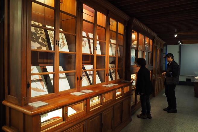 台北植物園腊葉館早期是保存標本的場所，如今轉型為展示空間，讓民眾了解台灣植物自然史的一步一腳印。（林格立攝）