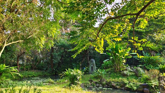 2012年，早田文藏紀念碑重新回到台北植物園，被在地的植物簇擁著。（林格立攝）