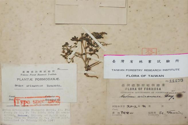 留有佛里與早田簽名的標本，是台、日、法「此曾在」的證據。（林格立攝）