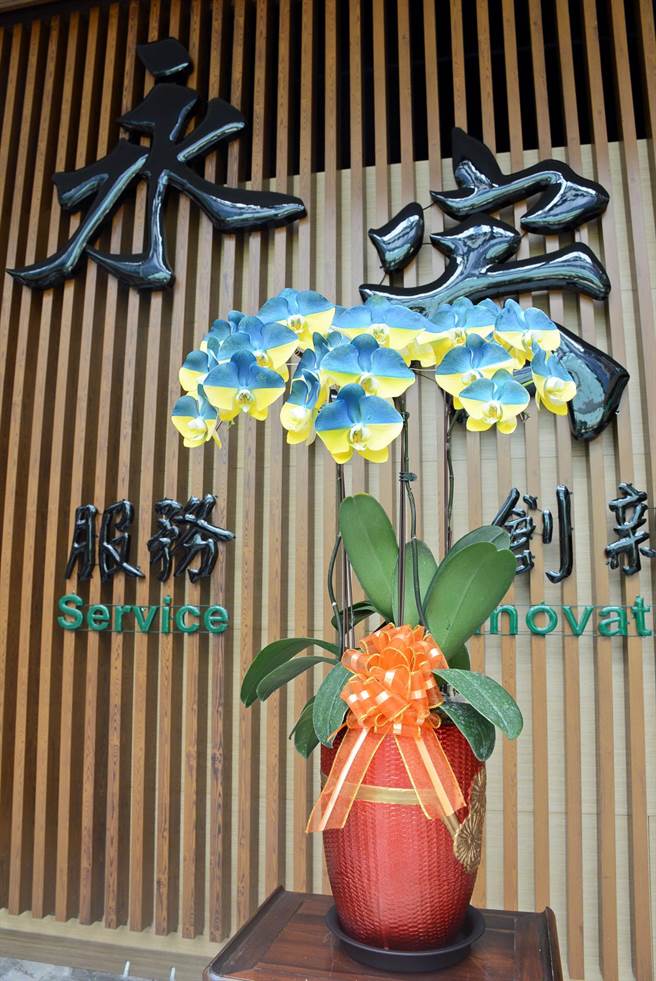 屏东兰花业者利用喷印技术，在白色蝴蝶兰上喷出蓝黄国旗顏色，以行动力挺乌克兰。（林和生摄）