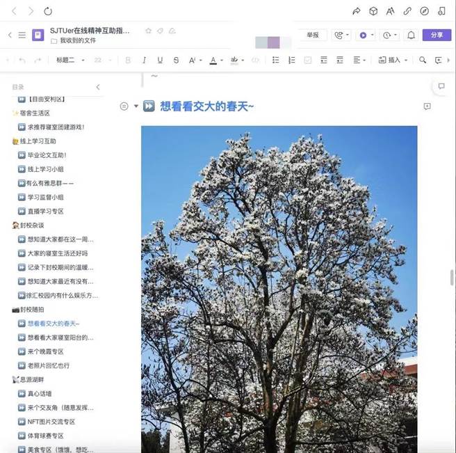 上海交通大學學生利用《SJTUer在線精神互助指南·封校特別版》文件互相鼓勵。（圖為文件截圖）