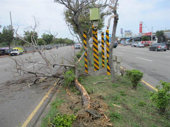 沙鹿区向上路今天发生营大货车停车未拉手煞车，撞击到分隔岛后方停止，造成分隔岛及路树毁损。(民眾提供)