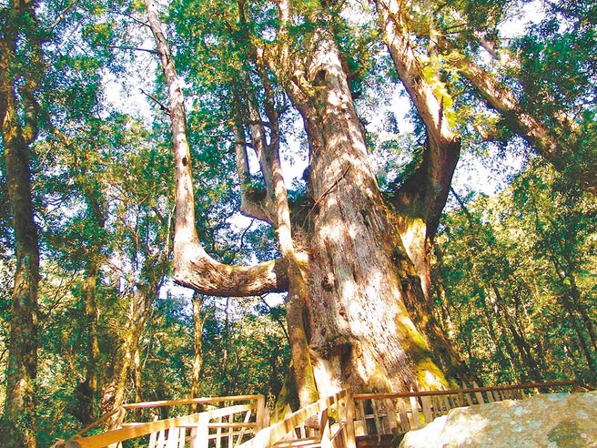 位于新竹县尖石乡的司马库斯部落，曾是古蒙仁笔下「黑色的部落」。（本报资料照片）