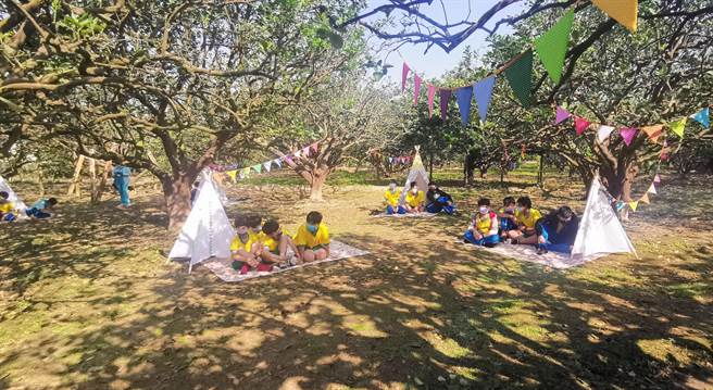 今年「柚花艺术节」活动将在3月19至20日的周末假期展开，安业国小师生15日到柚园赏花闻香野餐。（刘秀芬摄）