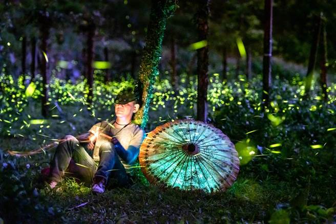 「2022螢光遊戲—螢向那瑪夏」活動，規畫3條賞螢步道，各步道同時段最多容留2000人。（高市原民會提供）