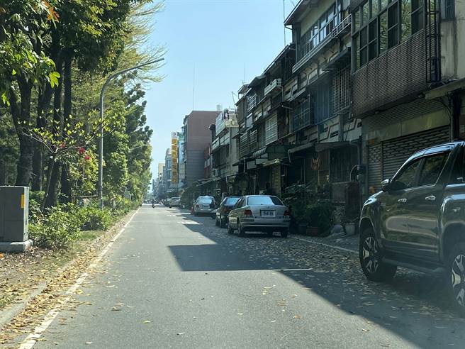 嘉義市主要聯外道路的路面落葉不少。（廖素慧攝）