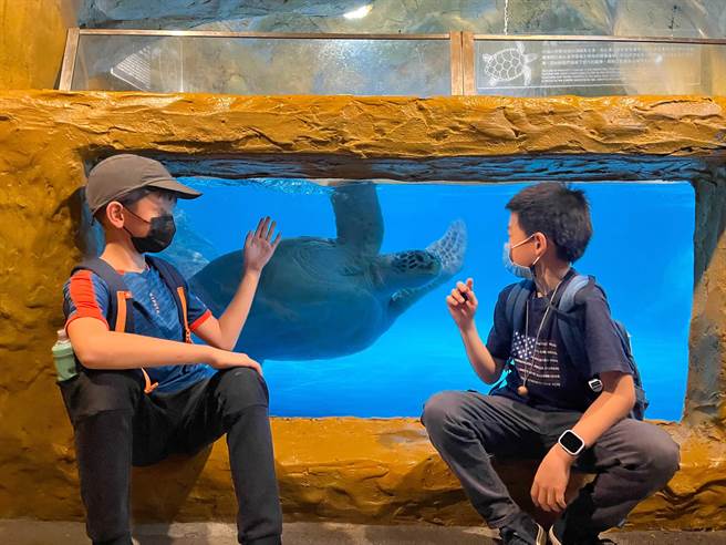 金山财神庙慈善会赞助10校特教生参访野柳地质公园及海洋世界。（新北市教育局提供）