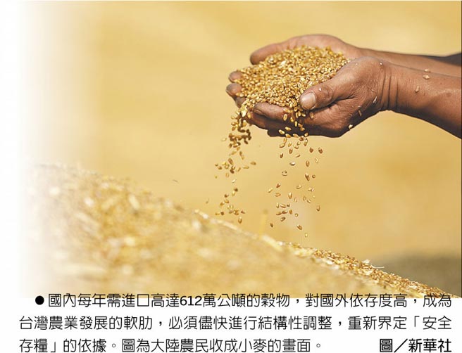 国内每年需进口高达612万公吨的谷物，对国外依存度高，成为台湾农业发展的软肋，必须儘快进行结构性调整，重新界定「安全存粮」的依据。图为大陆农民收成小麦的画面。图／新华社