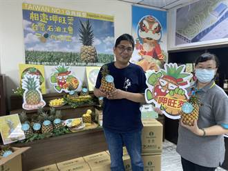 鳳梨季報到 台南農產運銷公司推禮盒預購搶市