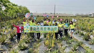 女力崛起 台南近5年女性青農比例上升