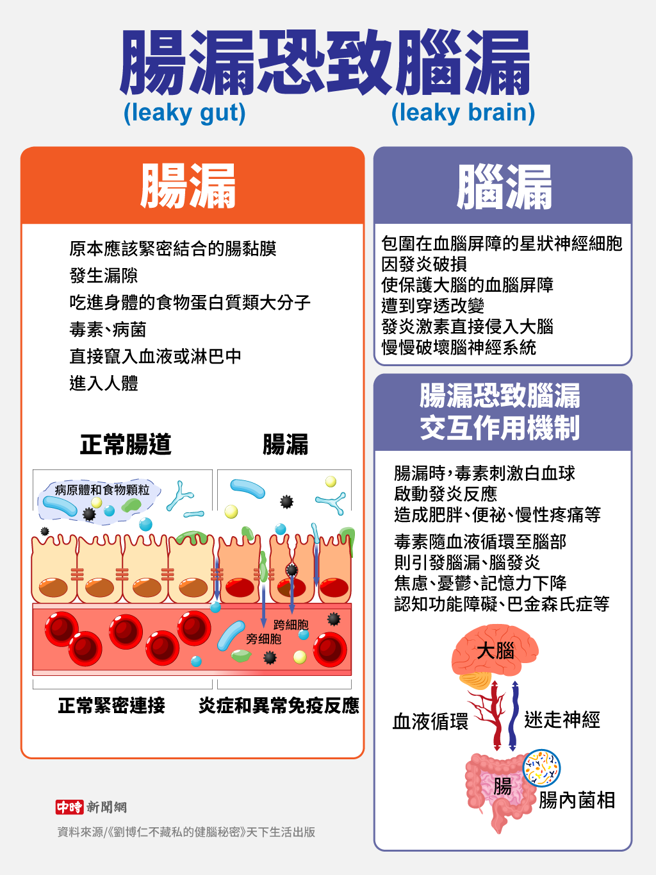 肠漏与脑漏。(资料来源/《刘博仁不藏私的健脑秘密》天下生活出版   图/中时新闻网陈友龄制图)