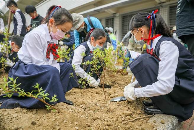 新北每年種4萬棵樹。