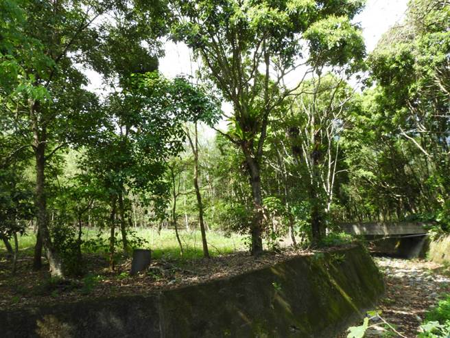 花东纵谷国家风景区管理处活化已成蚊子馆的花莲林荣游憩区，供地方团体进驻经营，并预计整顿馆舍后方尚未开发的区域，将其作为自行车道或旅游秘境，纳入未来的游憩动线规画。 （罗亦晽摄）