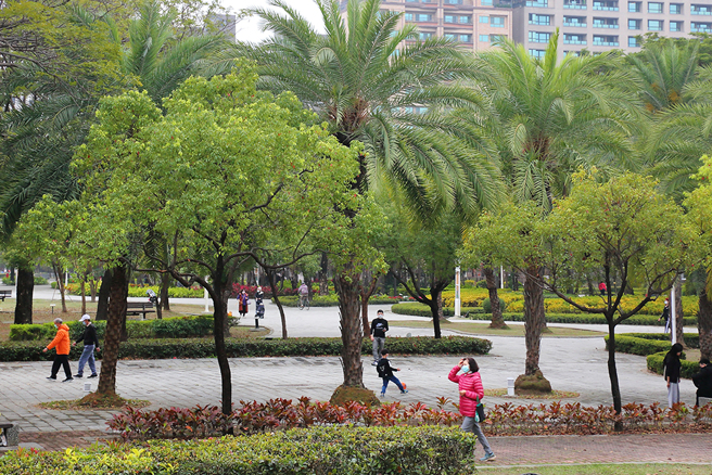共融遊戲場被繁茂喬木與青綠草地團團圍繞，提供親子休息空間，多樣植栽同時作為兒童觀察大自然的愜意園地。(攝影/Carter)