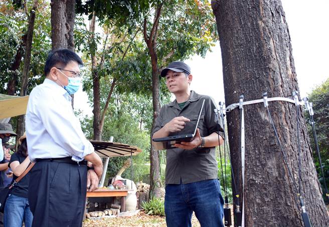 屏科大森林系副教授陈建璋（右）研究团队，运用先进非破坏性检测科学仪器，为屏县树木检测健康状况。（林和生摄）