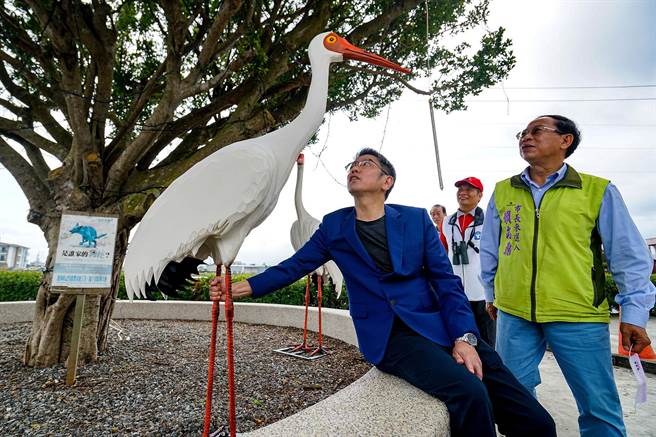 西伯利亞白鶴在宜蘭市郊區停留113天，迄今已超過1周沒發現白鶴蹤影，宜蘭市長江聰淵（左）在開興廟廣場設置2座白鶴裝置藝術，也盼鄉親能共同營造友善的生態環境。（李忠一攝）