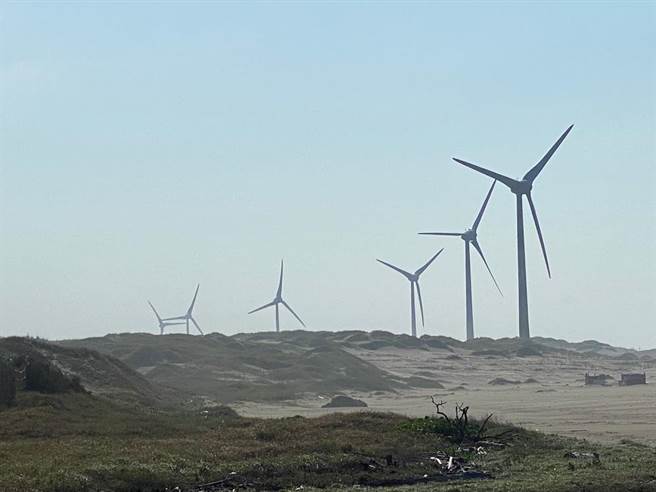 桃园的海岸线受到季风、洋流冲蚀，过去30年来海岸线平均倒退近200公尺，市府以5年为期造林10万棵树，守护桃园海岸。（蔡依珍摄）