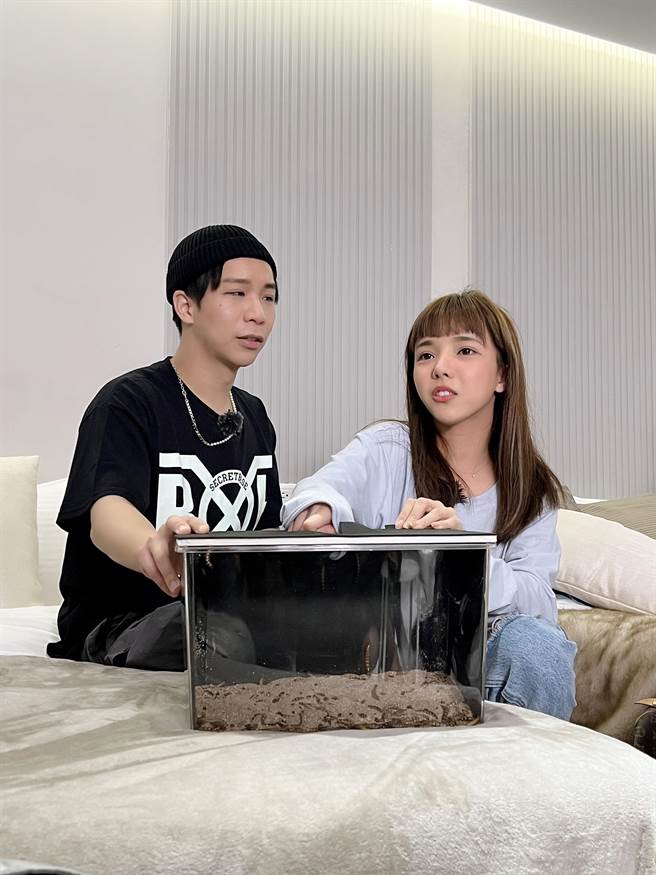 派翠克(左)与Mia挑战摸麵包虫。（东森提供）