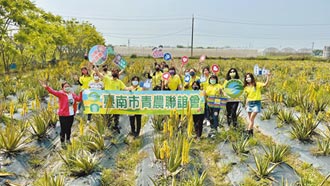 5年成長5成 台南青農女力崛起