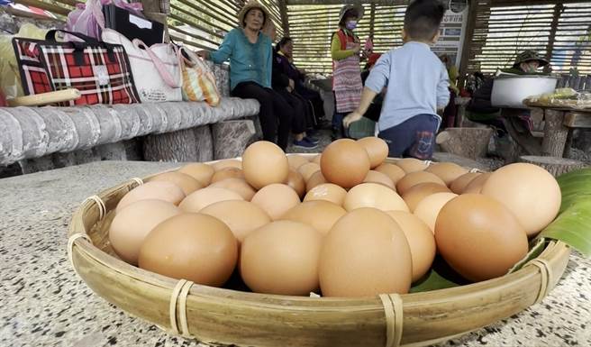 台東縣延平鄉永康部落文健站長者以蔬果飼養土雞，雞蛋不漲價。（民眾提供／蔡旻妤台東傳真）