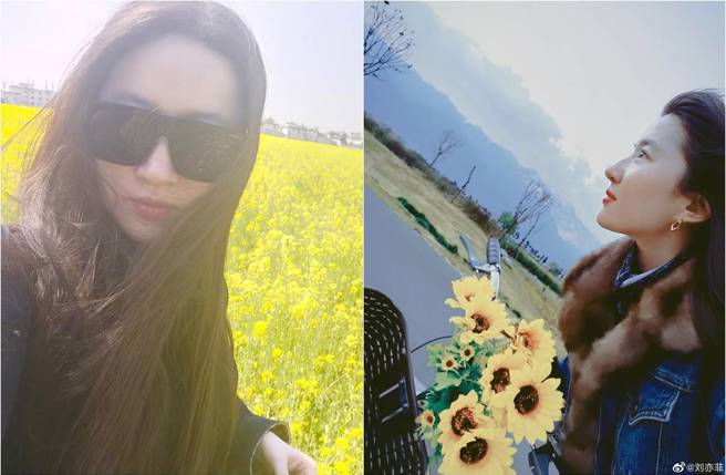 刘亦菲晒出多张户外踏青照。（图／取材自刘亦菲微博）