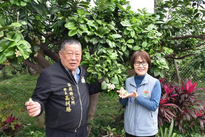 苗栗縣副縣長鄧桂菊與西湖鄉長高天賜歡迎各地遊客前來西湖鄉賞花。（謝明俊攝）