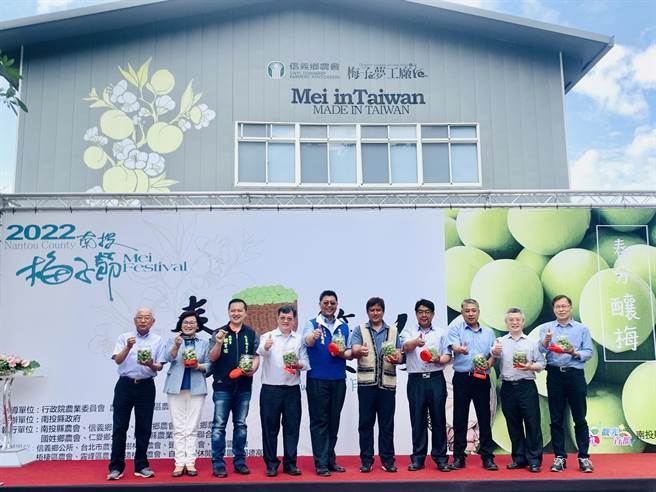 南投梅子节20日登场，举办手作脆梅体验。（廖志晃摄）