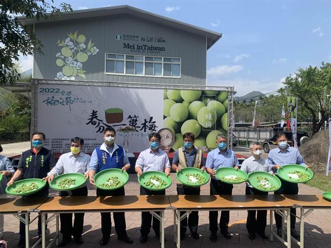 南投梅子节20日登场，举办手作脆梅体验。（廖志晃摄）