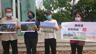 批台南不重視樹林 環盟：風光種小樹 瘋狂砍大樹