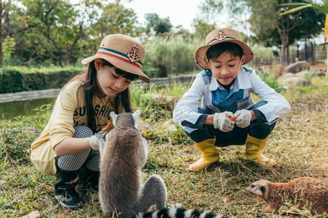 （入住六福庄「动保员亲子营」住房专案，除了和可爱的动物们当邻居外，还可以学习动物照养知识，近距离观察，化身一日小小动保员。图／六福旅游集团提供）