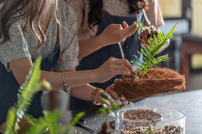（理想大地利用园区的人文与自然风情打造全台唯一量身订制主题「蕨色理想生态行程」系列专案。图／理想大地提供）