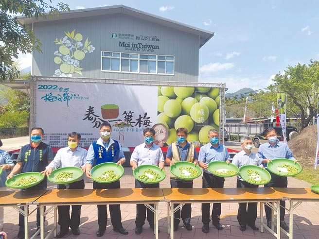 南投梅子节20日登场，将举办手作脆梅体验。（廖志晃摄）