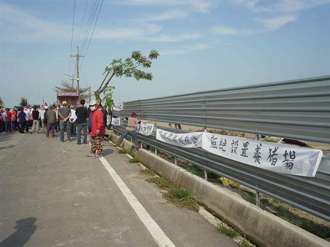 興建養豬場未告知地方，雲林縣崙背鄉近百名民眾抗議。（張朝欣攝）