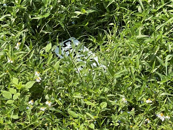 袁姓現役軍人酒駕撞死老婦，將肇事賓士車車牌拆下丟棄排水溝內。（讀者提供／謝明俊苗栗傳真）