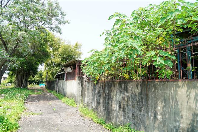  文化局長林榮森表示，該建築為日式雨淋板蓋、黑色甕根瓦、外觀及牆堵都保存完整，經評議後公告為歷史建築，未來將做為林業文化展場。（吳建輝攝）