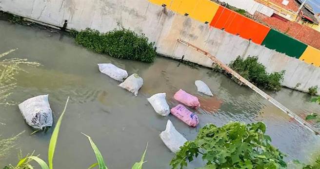 月眉大排清淤，打包布袋莲採漂流做法，被彰化县环保局裁罚3万元。（赖清美提供／吴敏菁彰化传真）