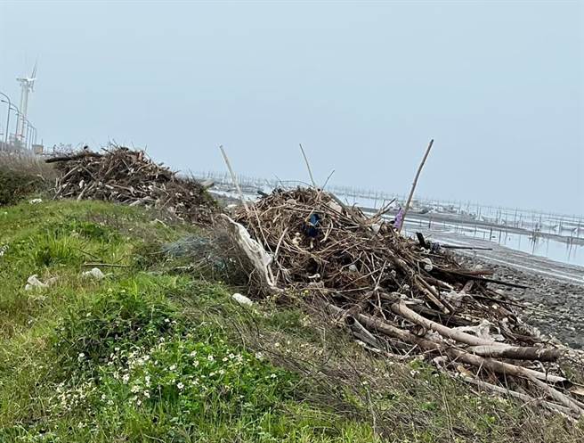 议员赖清美脸书张贴伸港海岸，净滩后的大批垃圾堆积成山，尚未清运，监督要快点运走，不要大雨、刮风又吹走一大堆，岂不是白做工。（赖清美提供／吴敏菁彰化传真）
