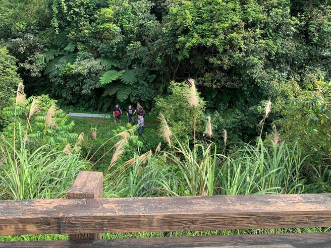 男子疑採野菜不慎跌落边坡。（民眾提供）